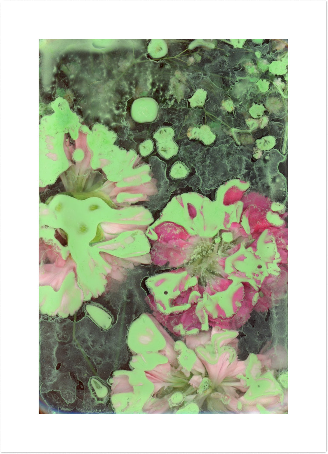 In the Heart of Green by Eeshani Mitra