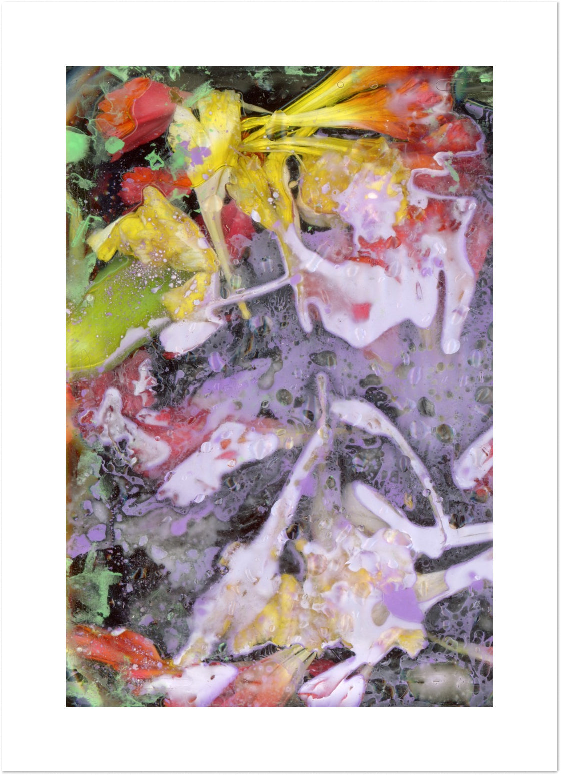 The Light of Petals by Eeshani Mitra
