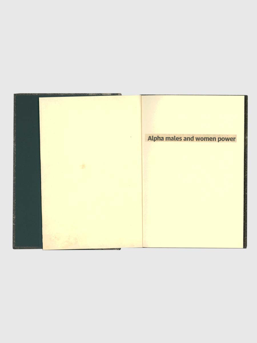 In Today’s News: Alpha Males and Women Power by Editions JOJO
