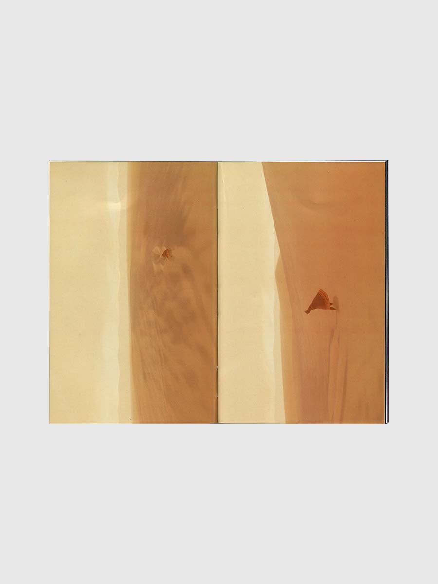 Still Life – Mirrors and Windows by Reliable Copy