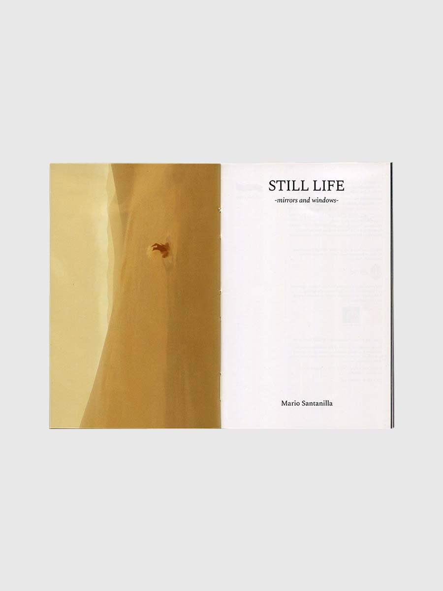 Still Life – Mirrors and Windows by Reliable Copy